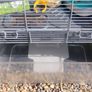 Gerbil Cage Image 3