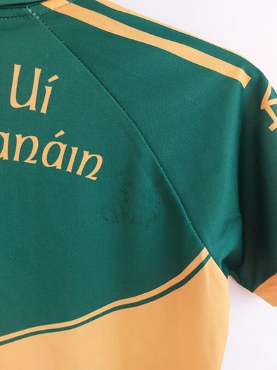 ballylynan gaa jersey