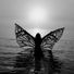Butterfly32