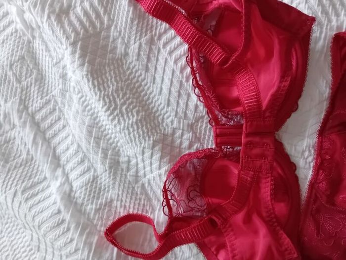 Fantasie Allegra - Underwired Side Support Bra 30F and Briefs S - Red - BNWT RRP 80