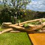 hand crafted drift  wood centre piece Image 4