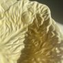 Vintage Carlton ware dish Image 3