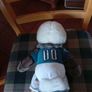 Vintage NFL Football Philadelphia Eagles Plush Mascot Stuffed Swoop Toy 16" Image 6