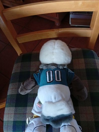 Vintage NFL Football Philadelphia Eagles Plush Mascot Stuffed Swoop Toy 16"