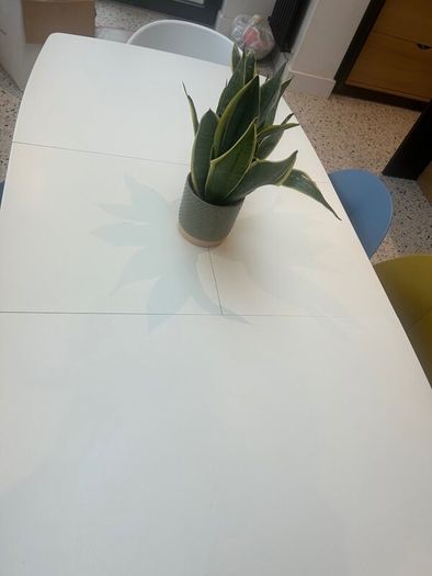 Dining Table and Chairs
