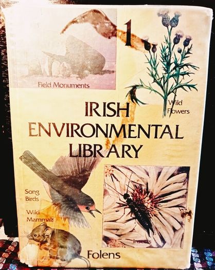 c1970s. Folens Environmental Library.