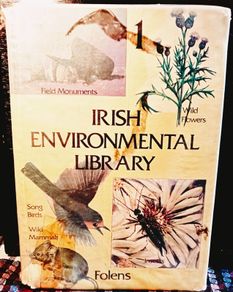 c1970s. Folens Environmental Library.