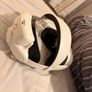 Oculus quest 3S Image 5
