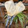 1 Soldered Witchy Odd Badger Scapula Bone Hair Pins Image 5