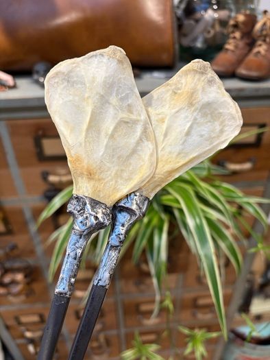 1 Soldered Witchy Odd Badger Scapula Bone Hair Pins