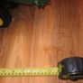 John Deere Harvester Image 5