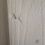Double doors Image 4