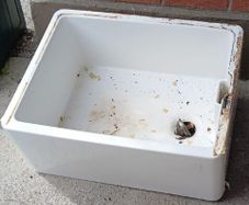 Belfast sink garden plants