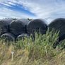 Silage bales Image 2