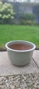 Ceramic Planter