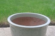 Ceramic Planter