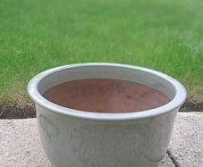 Ceramic Planter