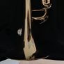 Trumpet Image 5