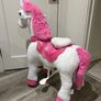 PonyCycle Ride Image 2