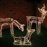 Indoor/Outdoor Light Rope Reindeer Family Large Stag, Doe And Baby With Warm White Lights Image 3