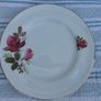 Arklow Pottery Autumn Rose Plates x 6 + 3 Image 3
