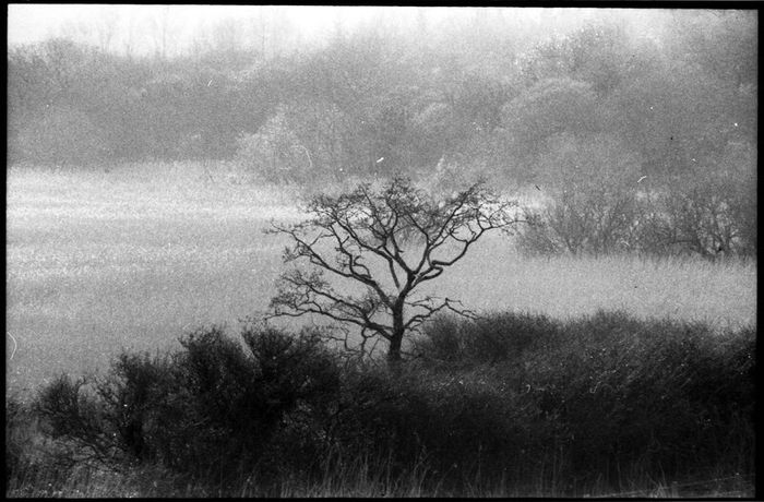 Kodak Plus-X Pan Panchromatic 100ft 35mm film and developing tank
