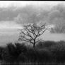Kodak Plus-X Pan Panchromatic 100ft 35mm film and developing tank Image 5