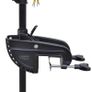 Electric Trolling Motor P22 46 lbs Image 2