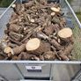 Firewood Sticks Delivered Image 2