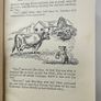 Mary Plains Whodunnit (1st Edition 1965) - Gwynedd Rae - Vintage Children's Book Image 6