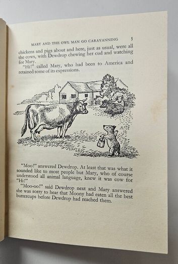 Mary Plains Whodunnit (1st Edition 1965) - Gwynedd Rae - Vintage Children's Book