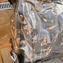 Out n About Image 6
