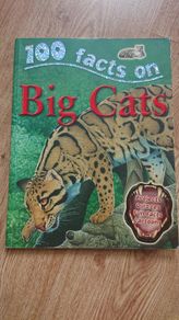 100 Facts on Big Cats