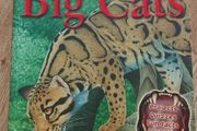 100 Facts on Big Cats