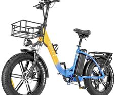 Ridstar MN20 Electric Bike