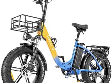 Ridstar MN20 Electric Bike