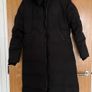 canada goose Image 6