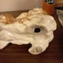2 Vintage China Ornamental Mantlepiece Dogs... Image 4