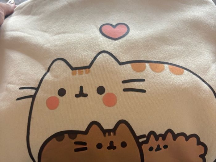 pusheen hoodie/jumper