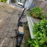 Ebikes-Rad Power Image 4