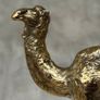 Camel - Polished Bronze Image 2