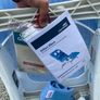 RIFTON blue Wave Shower and Bath Chair Small Special Needs Mobility Child Image 7