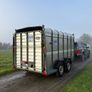 12x6 ifor Williams cattle trailer Image 4