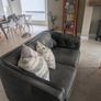 2 seater & 3/4 seater leather couch sofa Image 3