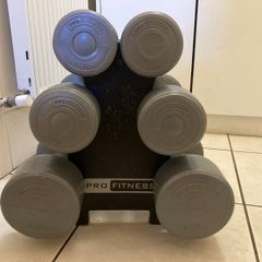 3 pairs of dumbbells with rack