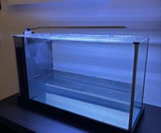 Fluval Spec 19L
