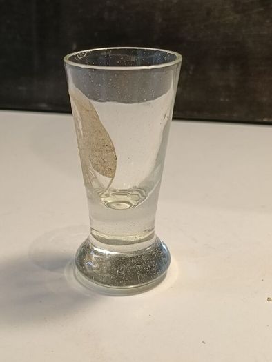 Rare Georgian etched toasting glass