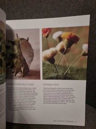 The Natural World of Needle Felting
