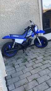 Pw 50