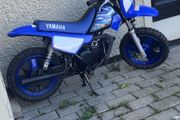 Pw 50